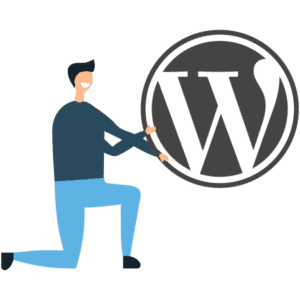 Gillico - WordPress Services